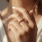 ANILLO GIRATORIO