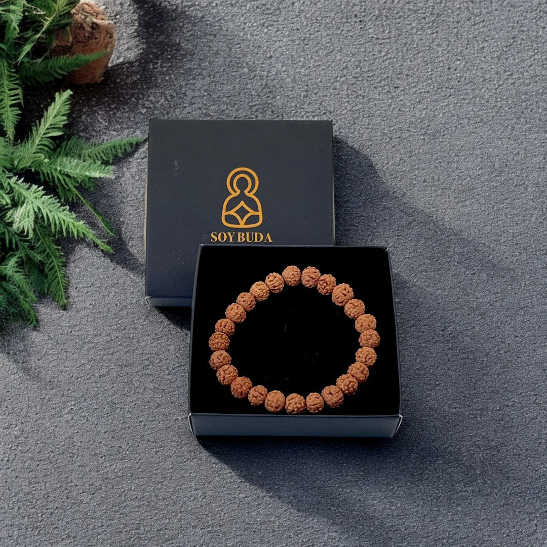 BRAZALETE RUDRAKSHA